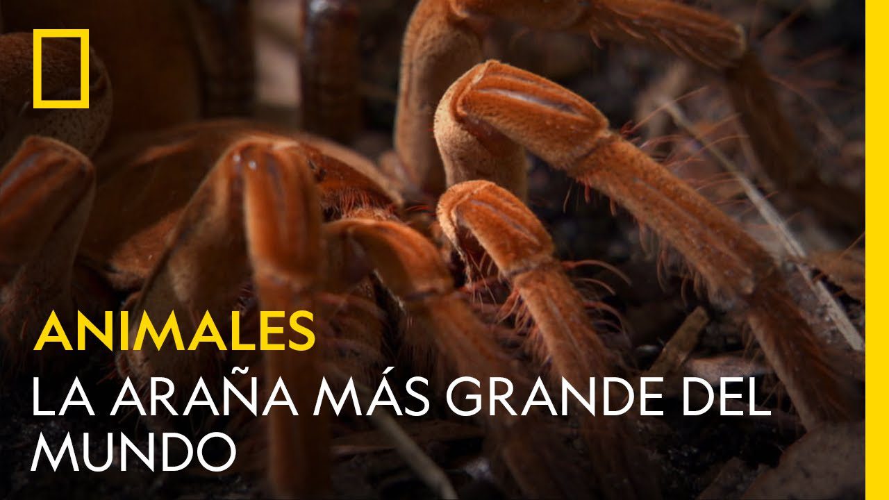 que-ver-en-Harana - Haznoticia.com