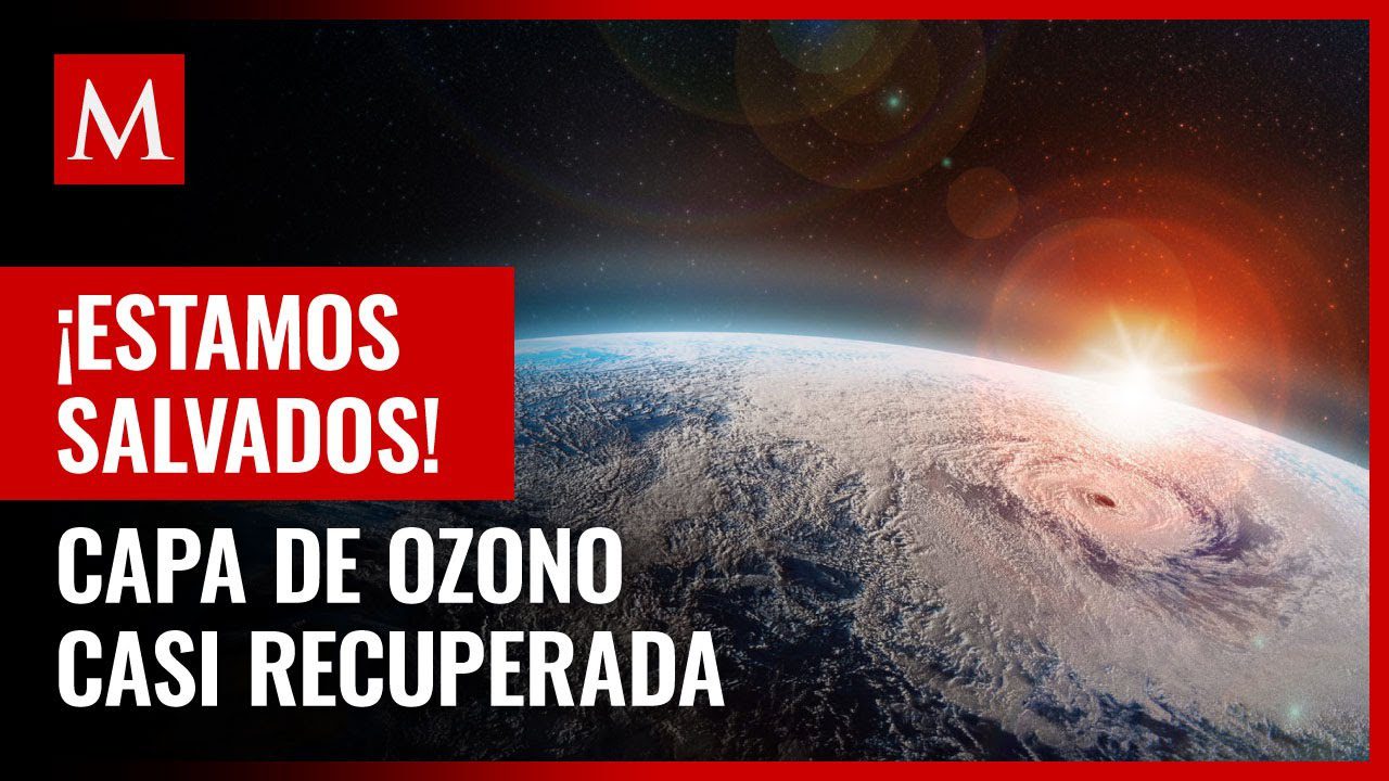 buenas noticias sobre el medio ambiente 2024