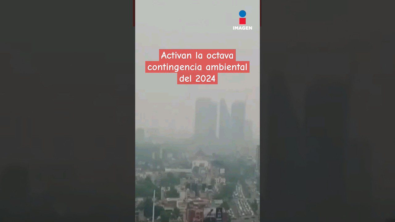 noticias sobre el medio ambiente 2024 cortas