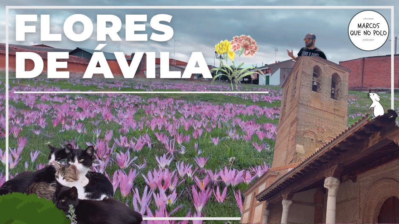 como-llegar-a-Flores-de-Avila - Haznoticia.com como llegar a Flores de Ávila