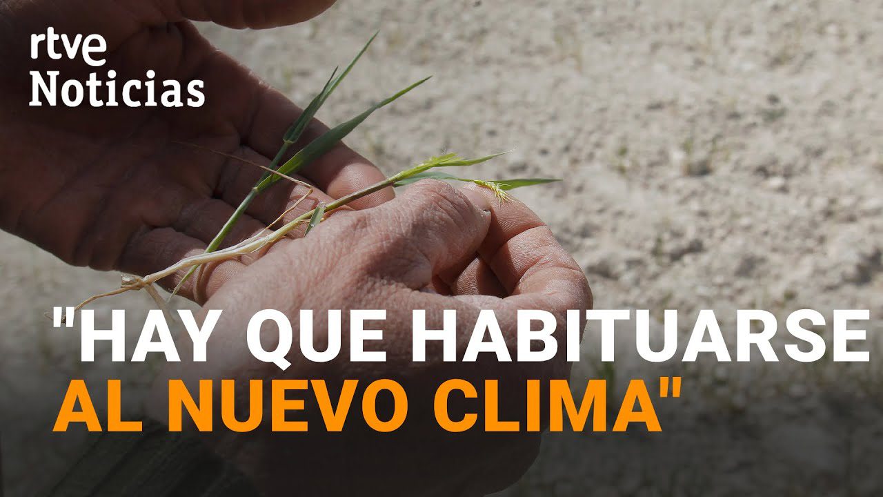 noticias sobre el cambio climático en españa