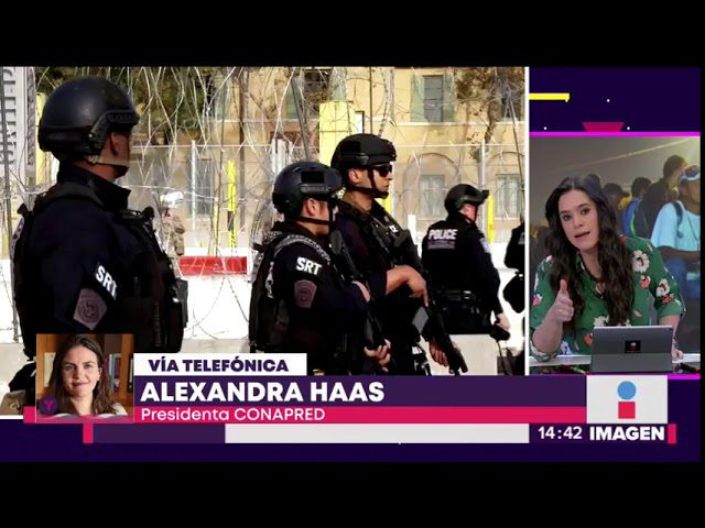 noticias sobre xenofobia