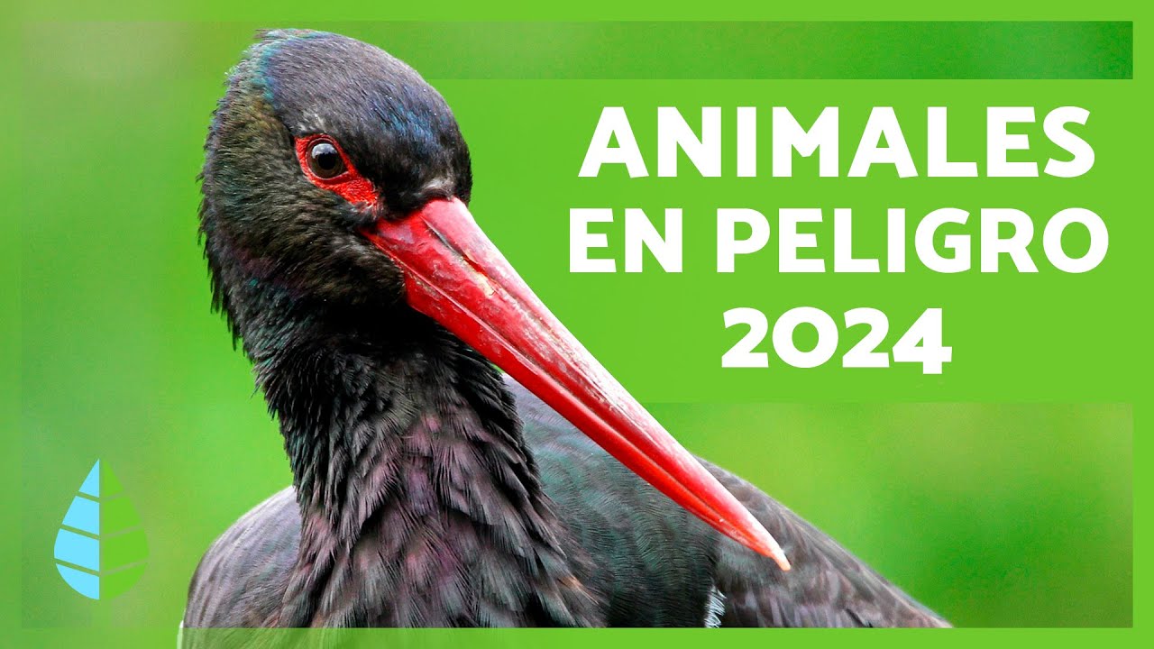 ultimas-noticias-sobre-los-animales - Haznoticia.com últimas noticias sobre los animales
