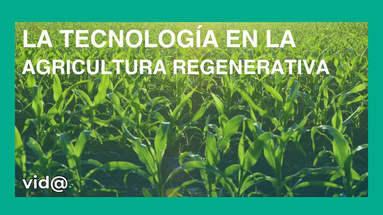 La-Revolucion-Verde-Cambios-en-la-Agricultura-y-la-Seguridad-Alimentaria - Haznoticia.com La Revolución Verde: Cambios en la Agricultura y la Seguridad Alimentaria