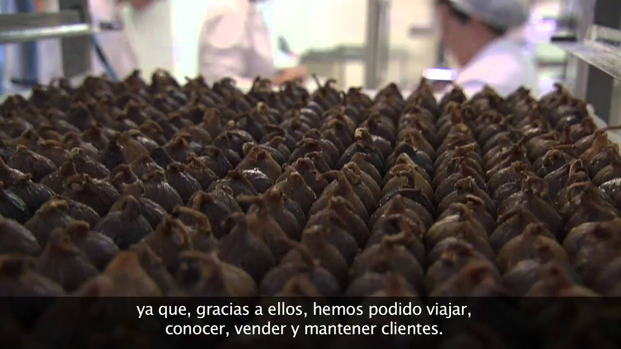 empresas-destacadas-en-Higuera-de-Llerena - Haznoticia.com empresas destacadas en Higuera de Llerena
