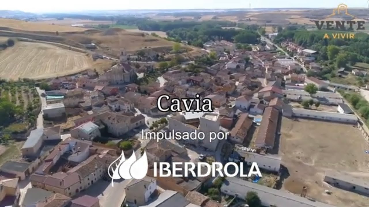 que ver en 	Cavia