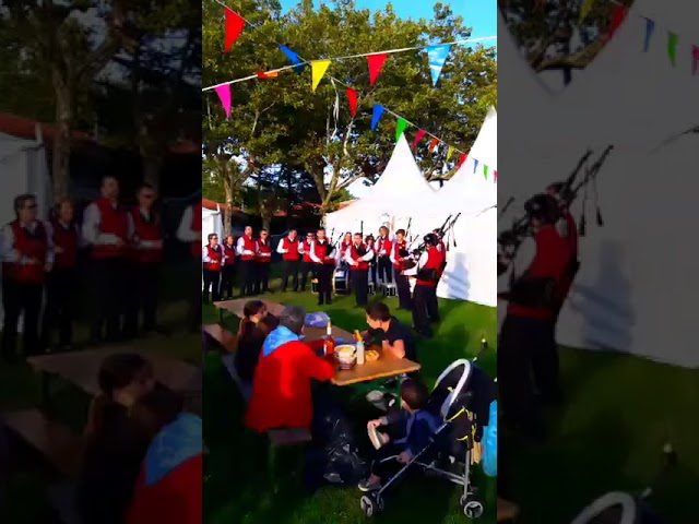 La-Fete-de-lHuitre-en-Arcachon-Mariscos-y-Tradicion-en-la-Bahia - Haznoticia.com La Fête de l’Huître en Arcachon: Mariscos y Tradición en la Bahía