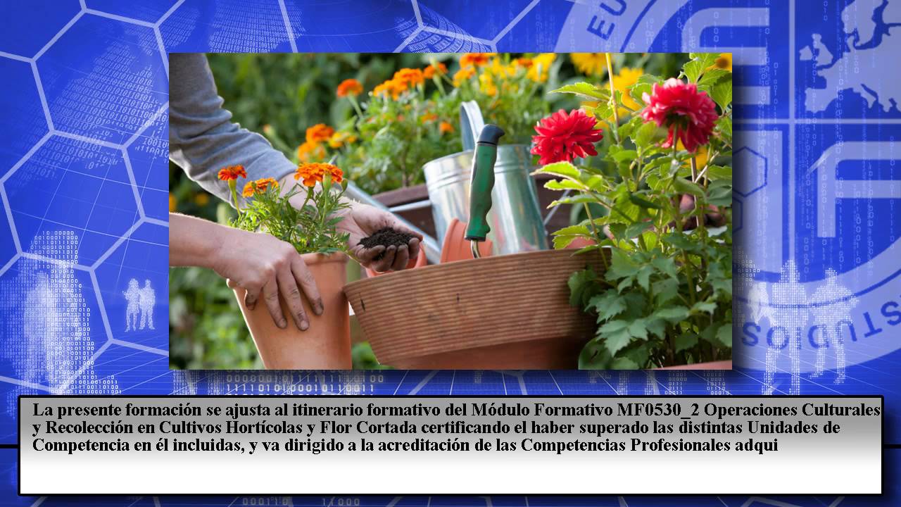 OPERACIONES-CULTURALES-EN-HORTICULTURA-Y-FLORICULTURA - Haznoticia.com OPERACIONES CULTURALES EN HORTICULTURA Y FLORICULTURA