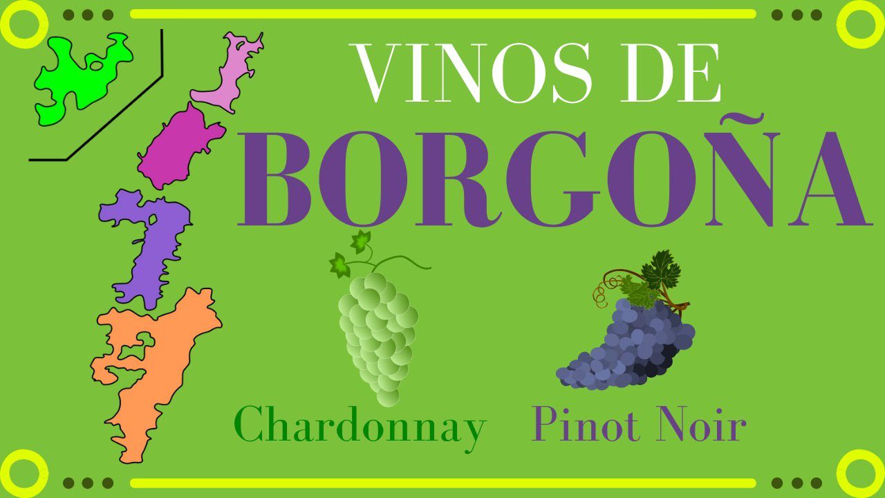 VINIFICACIONES-ESPECIALES-PARA-HOSTELERIA - Haznoticia.com VINIFICACIONES ESPECIALES PARA HOSTELERÍA