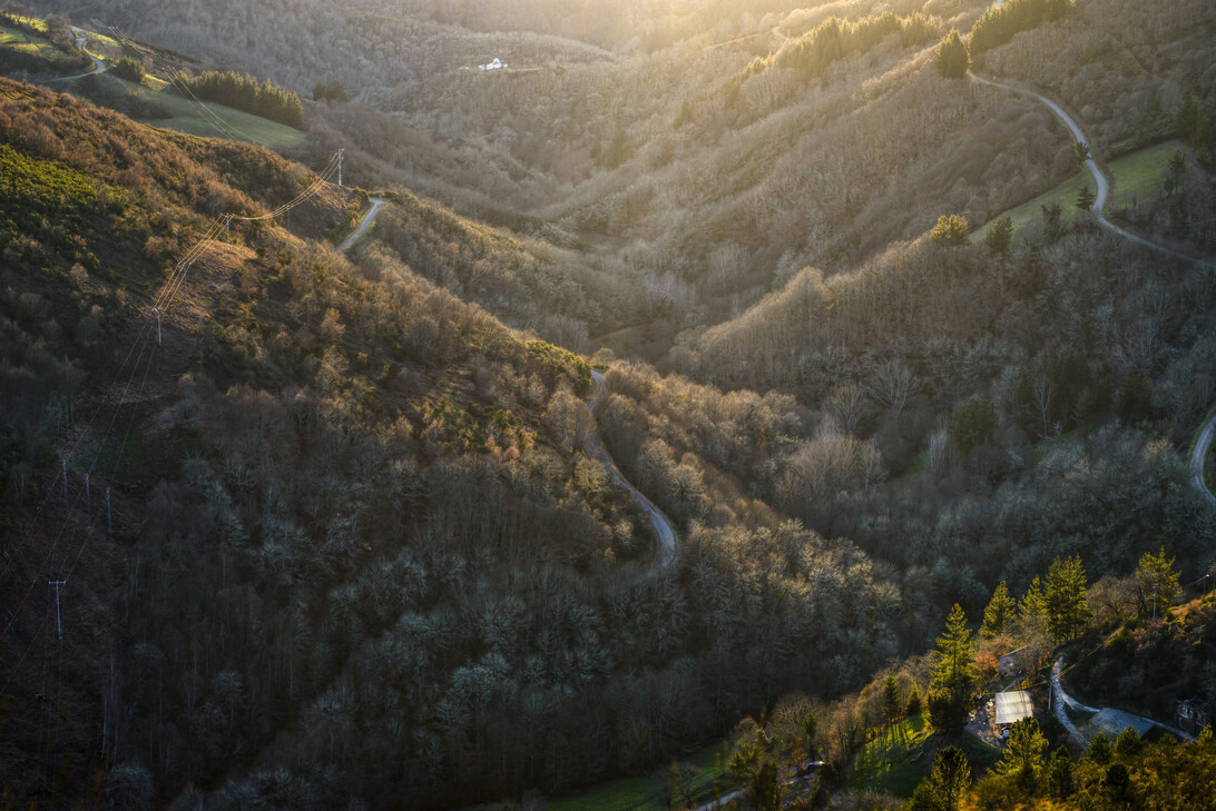 Aerial view of a winding road cutting through a sunlit forested hillside at dusk/late afternoon.